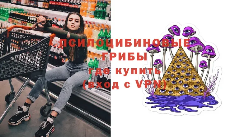 omg   Нестеров  Псилоцибиновые грибы мухоморы 